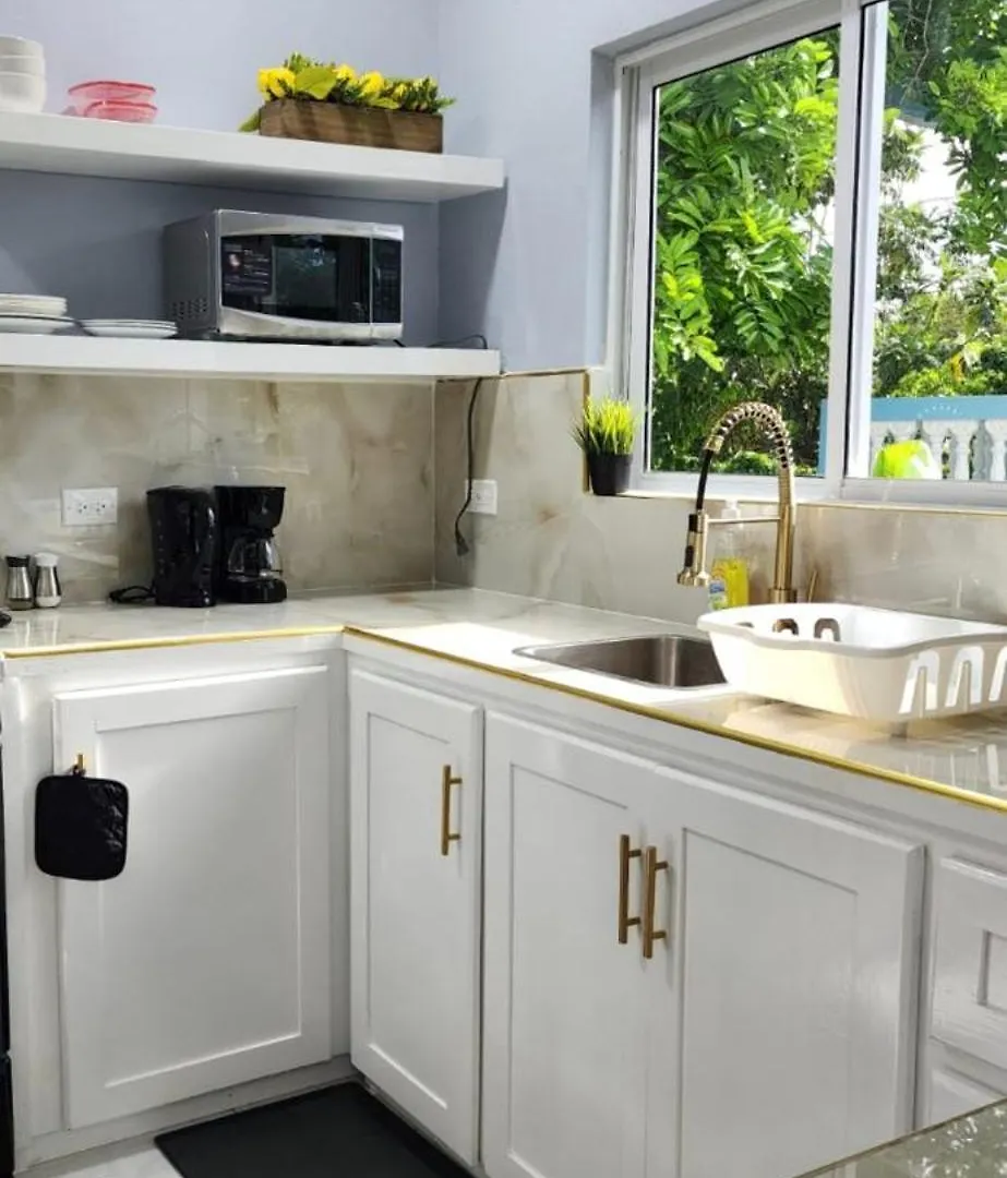 Williams Manor Apartment Negril