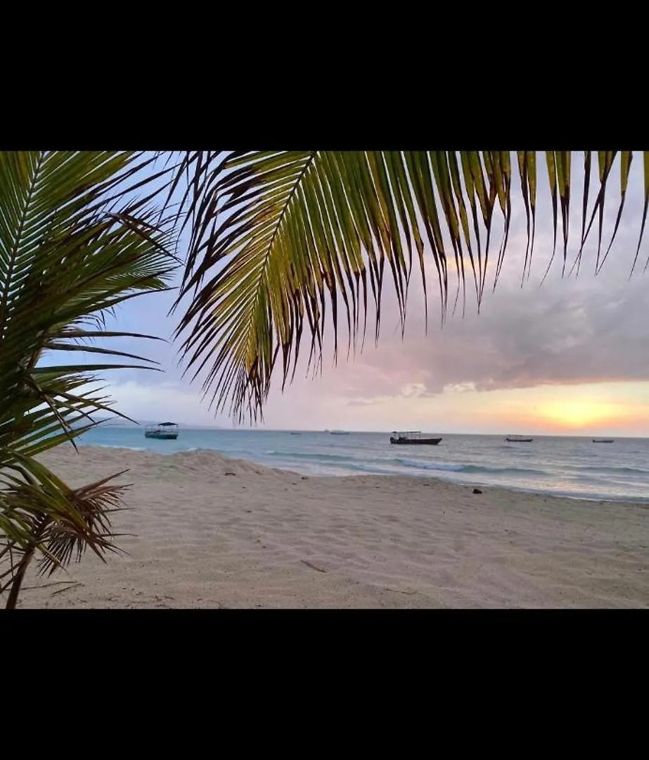 Williams Manor Apartment Negril