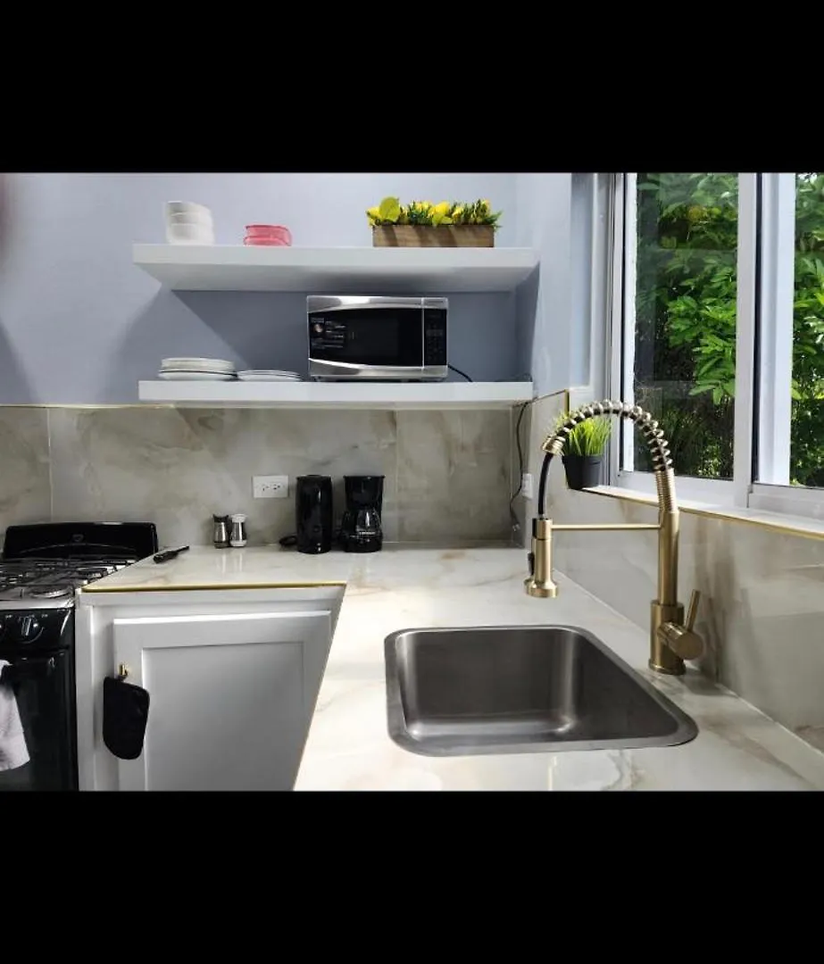 Williams Manor Apartment Negril