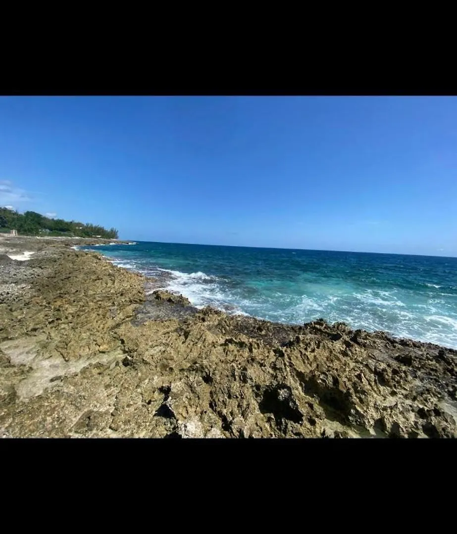 Williams Manor Apartment Negril
